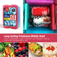 Pack de 4 Blocs Réfrigérants Repas